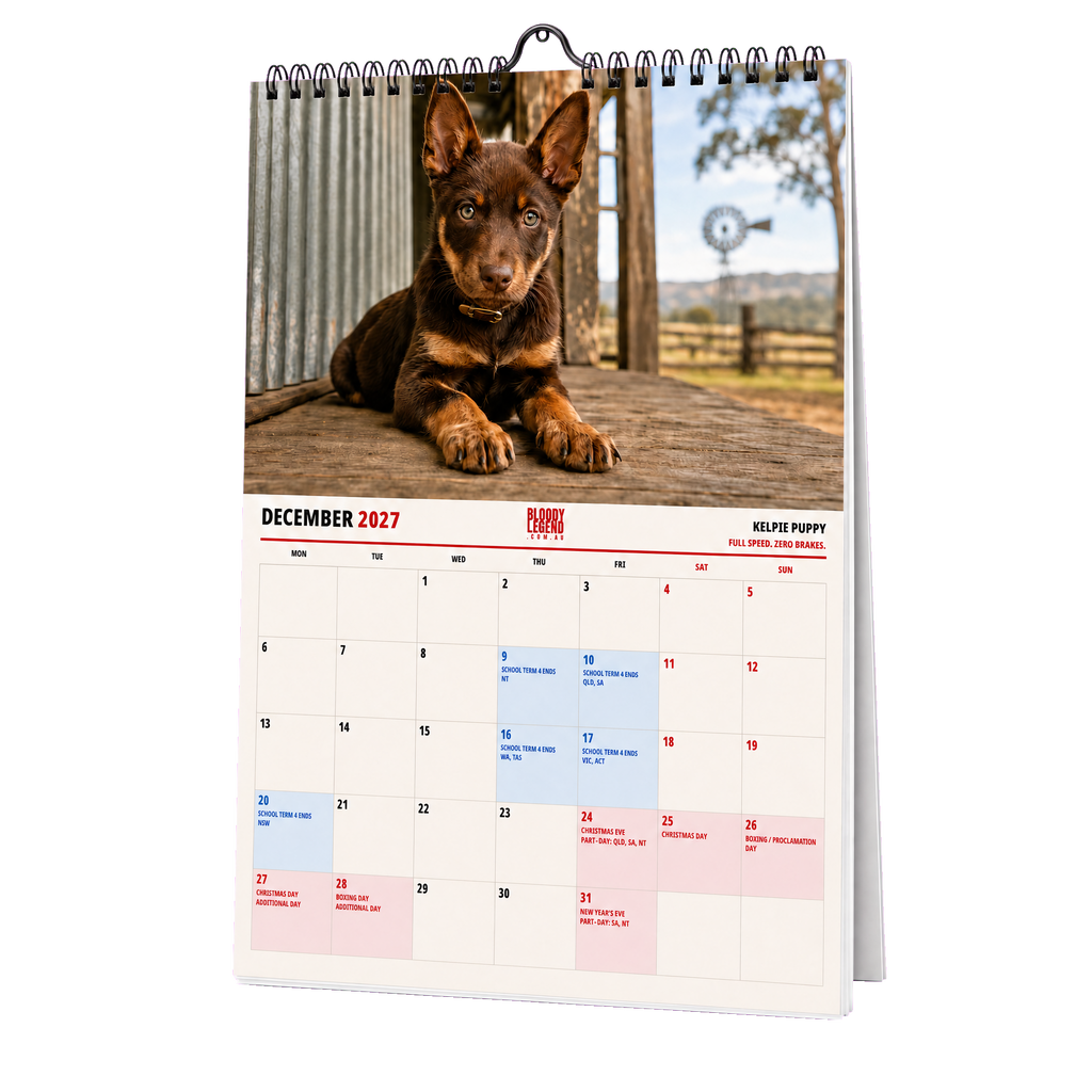 Aussie Dogs Edition 2027 Calendar