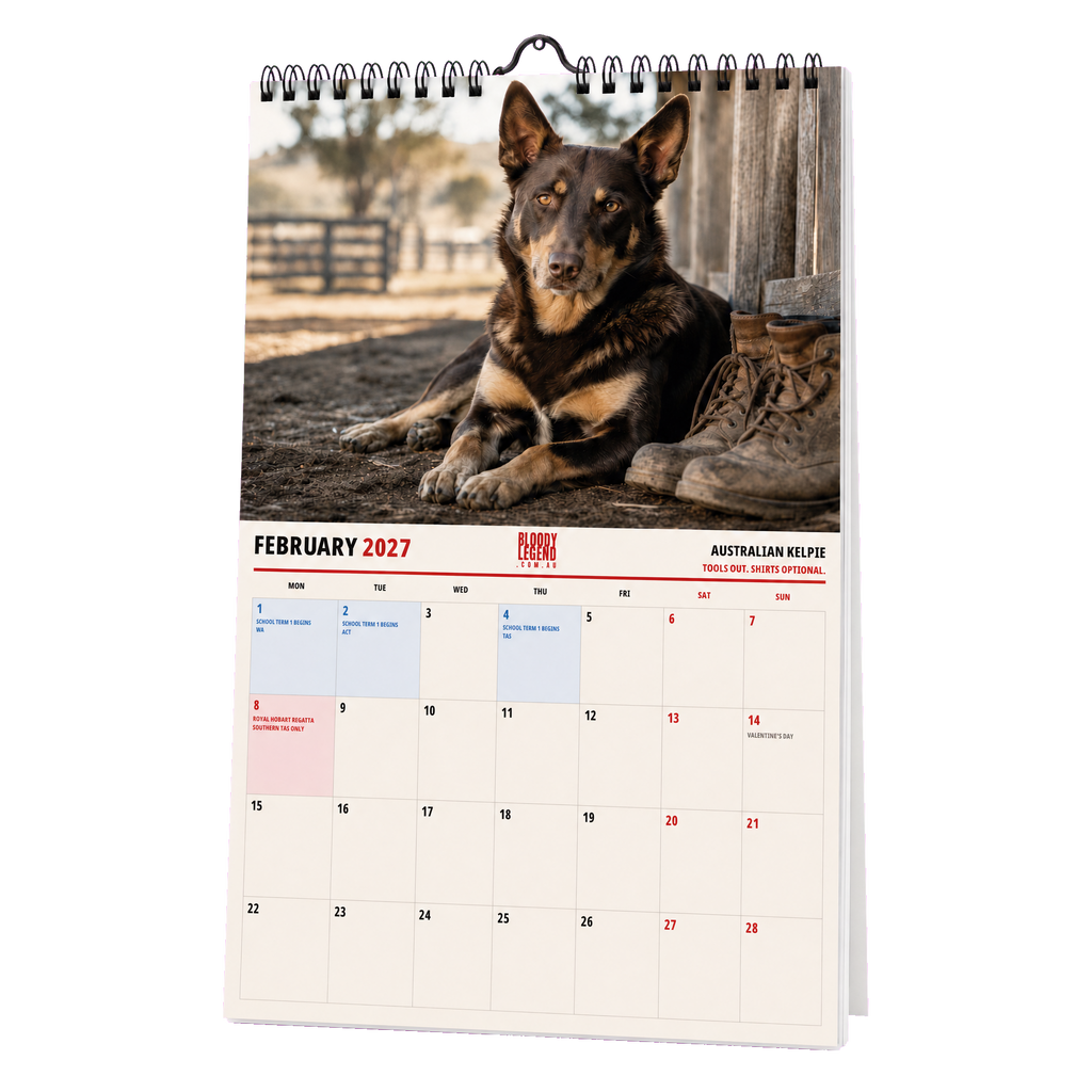 Aussie Dogs Edition 2027 Calendar