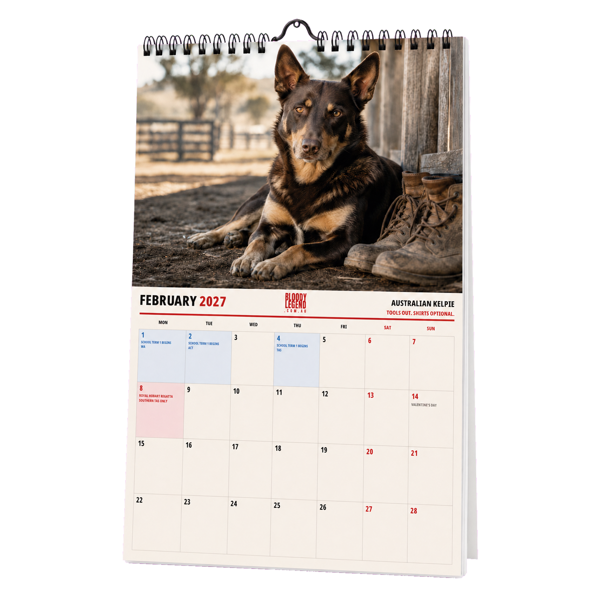 Aussie Dogs Edition 2027 Calendar