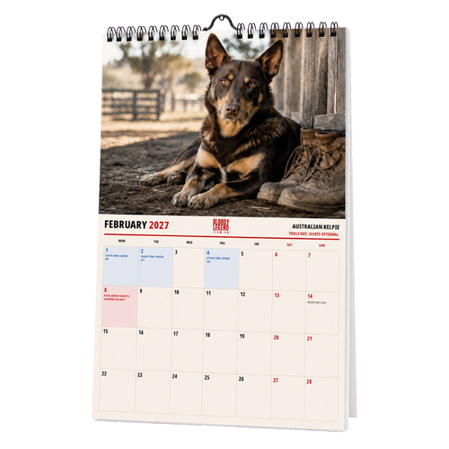 Aussie Dogs Edition 2027 Calendar